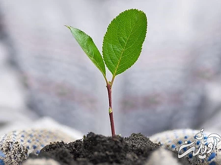 درس های آموزنده زندگی, هفت درس زندگی, درس های بزرگ زندگی